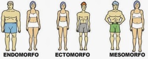 somatotipo_endomorfo_ectomorfo_mesomorfo